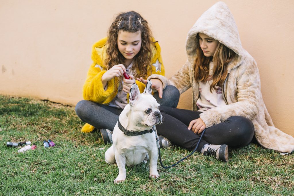 pet care